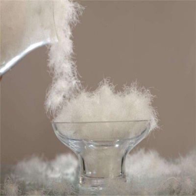 六安市海洋羽毛:做大皖西白鵝品牌,振興地方經濟發展