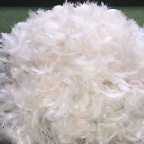 匈牙利進(jìn)口白鵝絨海關(guān)檢查流程詳解