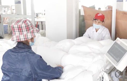 從鴨鵝養殖到羽絨制品出口 廣東湛江產業發展多點開花