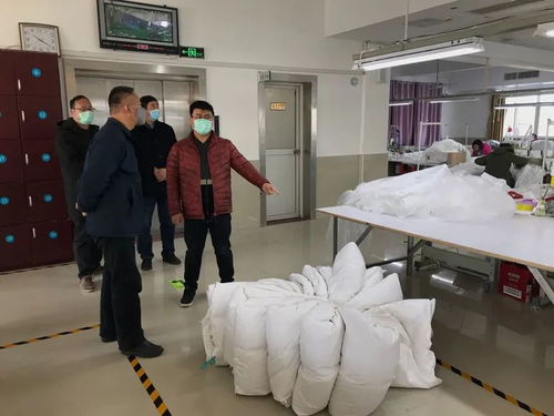 安 字當(dāng)頭 序 字為徑 區(qū)紀委監(jiān)委精準監(jiān)督助力復(fù)產(chǎn)復(fù)工復(fù)學(xué)