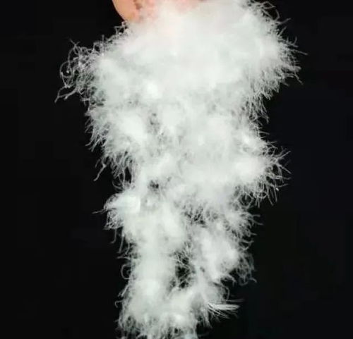 寶升家紡 年產20萬件羽絨制品項目 助跑 預計年產值同比增長233